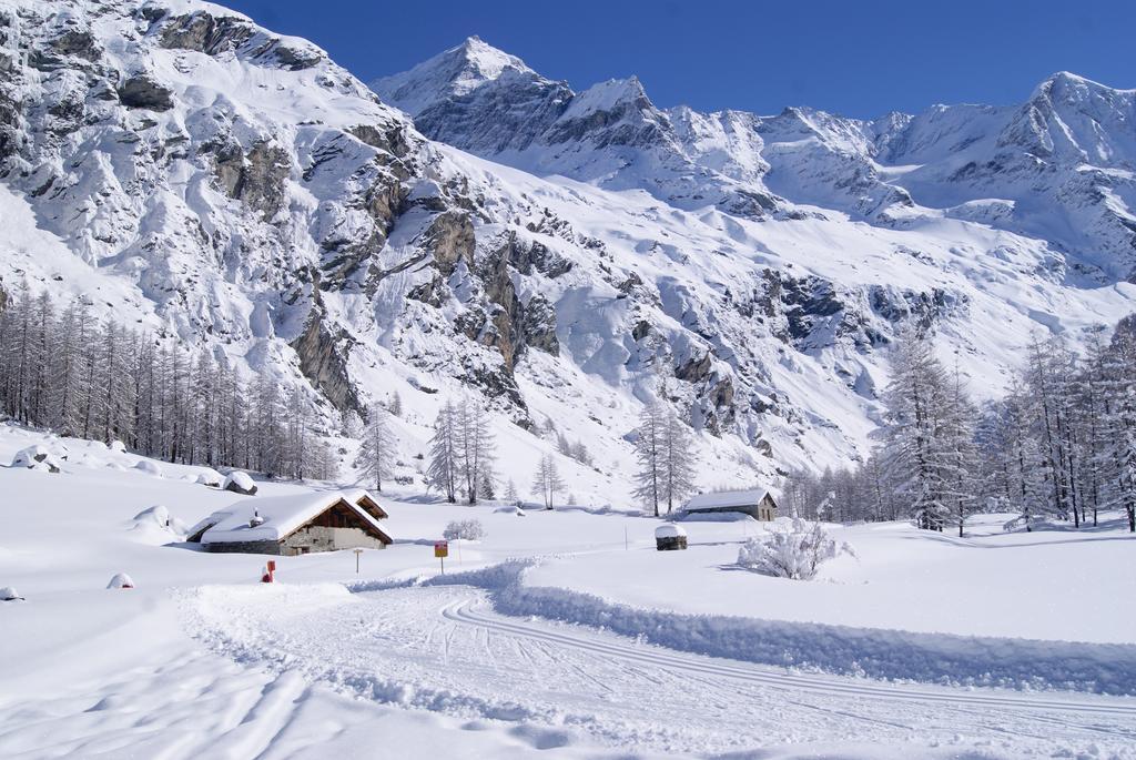 23 Praz De L'Ours Vallandry - Les Arcs Apartman Peisey-Nancroix Kültér fotó